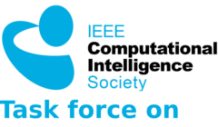 TF bilevel optimization